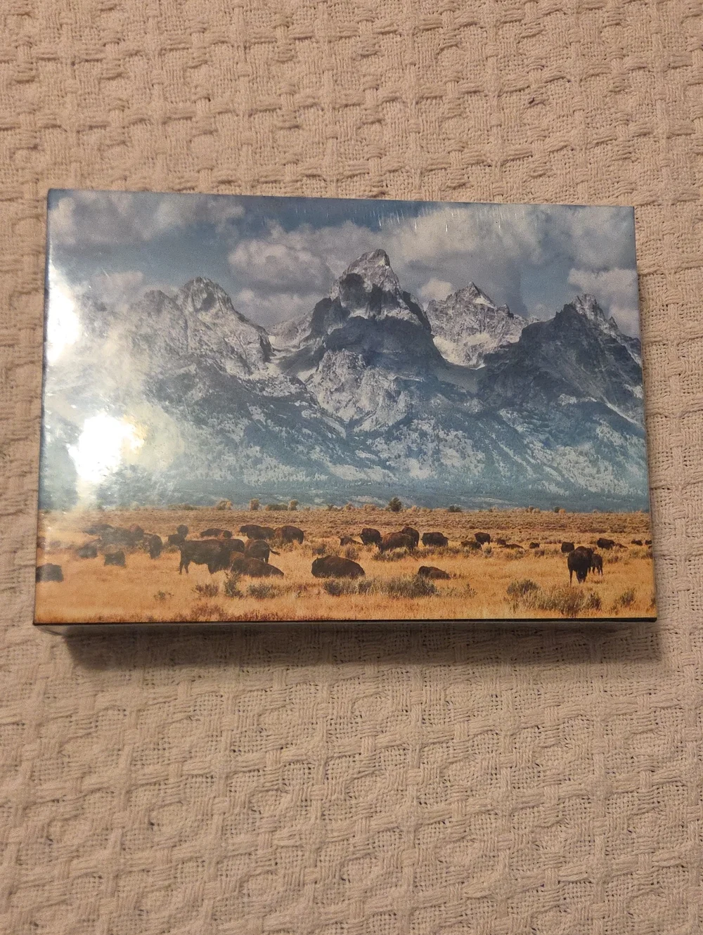 500 Piece Puzzle Scenic Mountain & Bison Jackson Wyoming- Blue and Brown
